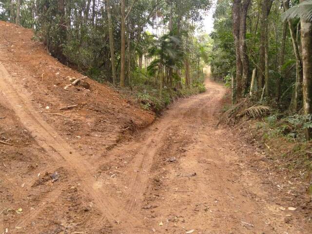 Chácara para Venda em São Pedro de Alcântara - 3