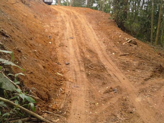 Chácara para Venda em São Pedro de Alcântara - 5