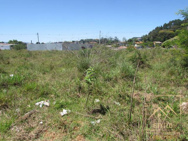 Terreno para Venda em Biguaçu - 2