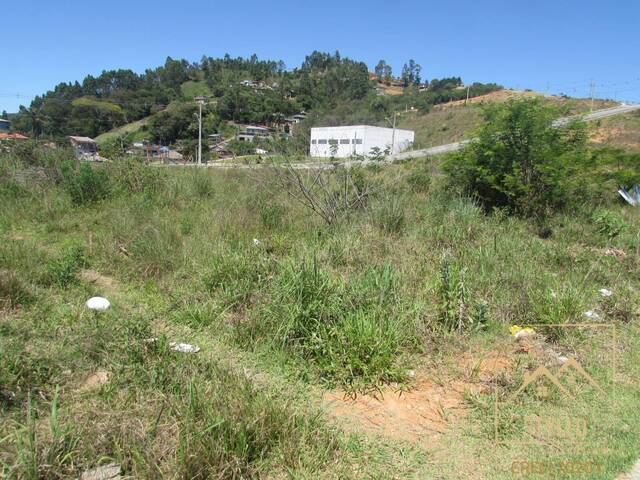 Terreno para Venda em Biguaçu - 3