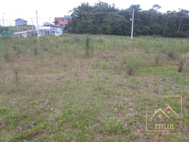 Terreno para Venda em São José - 2