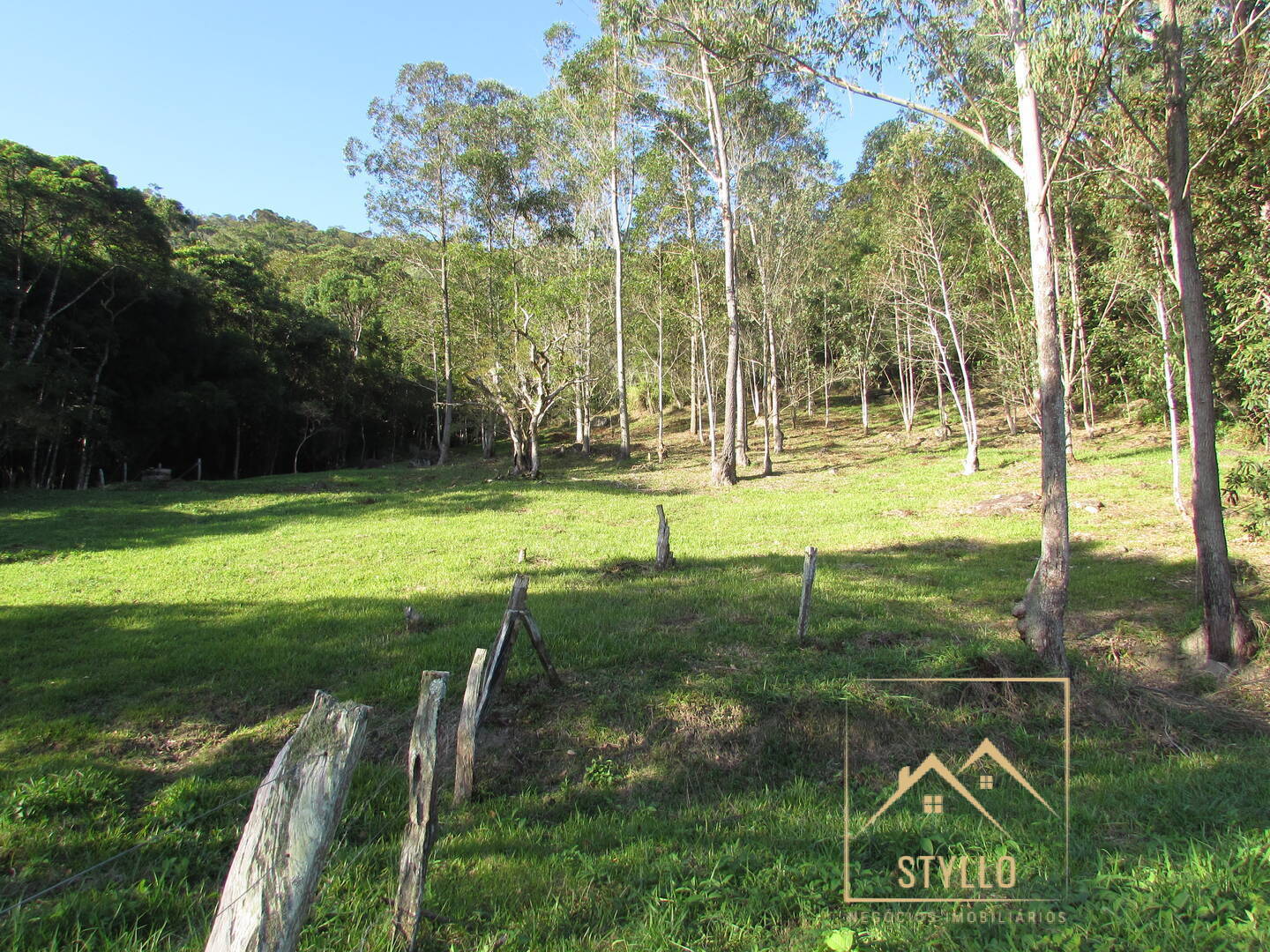 Fazenda à venda com 3 quartos, 240m² - Foto 19