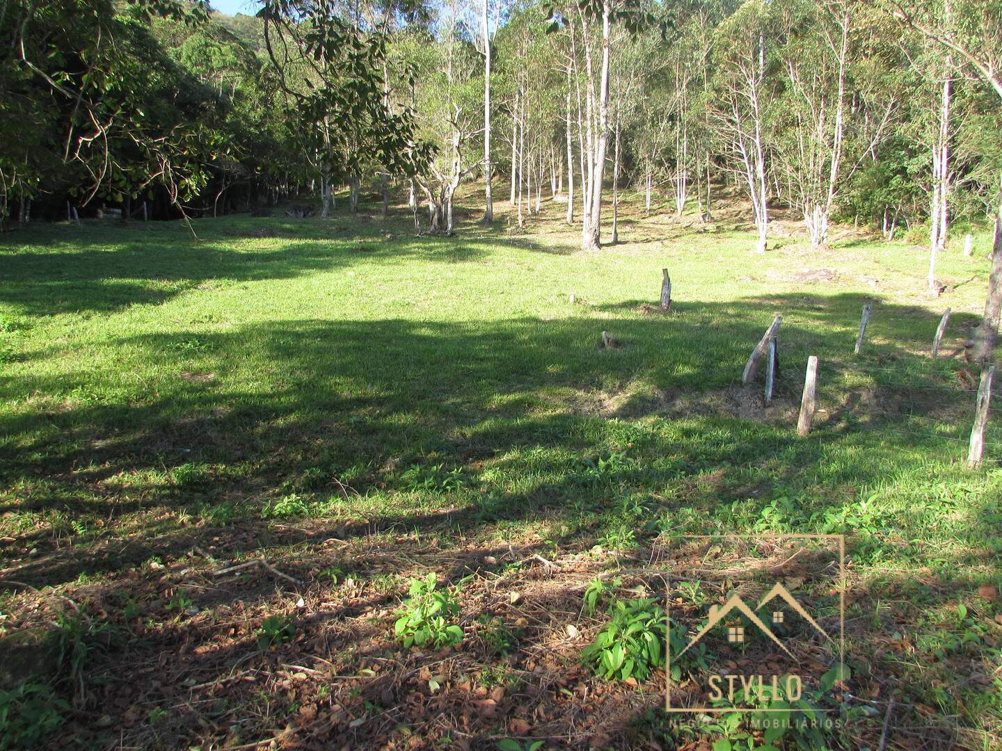 Fazenda à venda com 3 quartos, 240m² - Foto 21